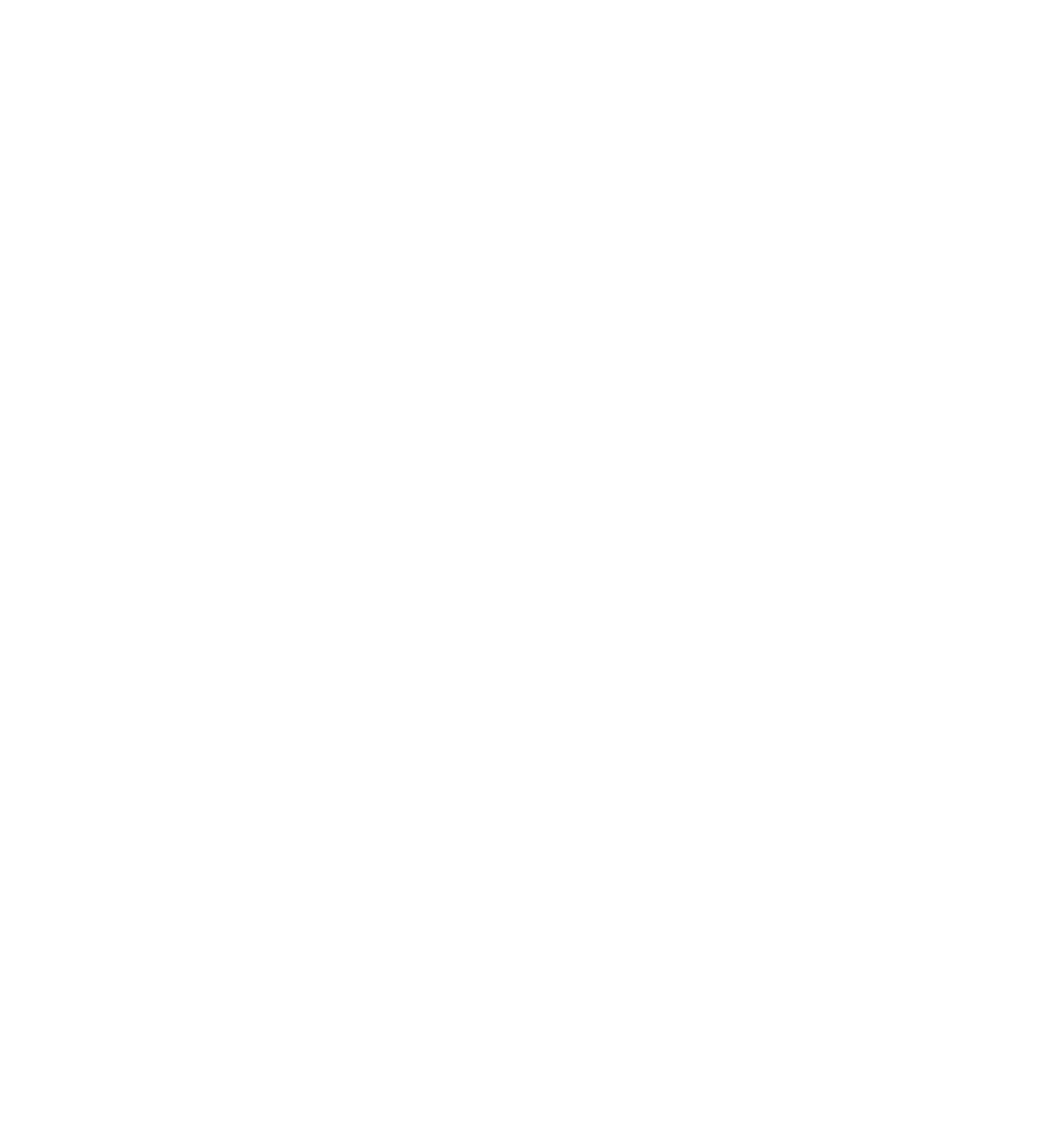 Gato siendo atendido por el equipo médico en CAT MEDICAL CARE