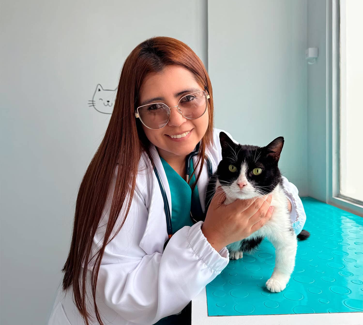 Atención médica oportuna para emergencias felinas