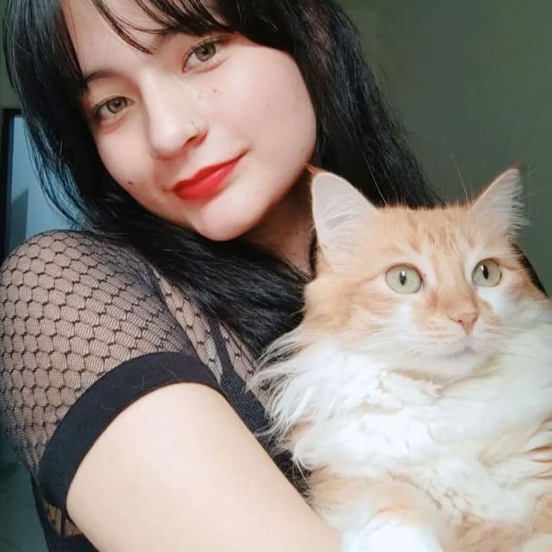 Momentos emotivos en la clínica con los gatos