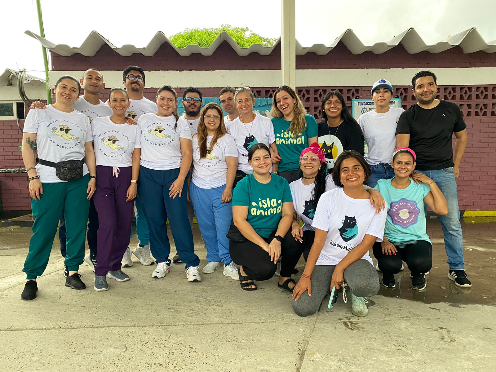 Veterinarios de Cat Medical Care en acción