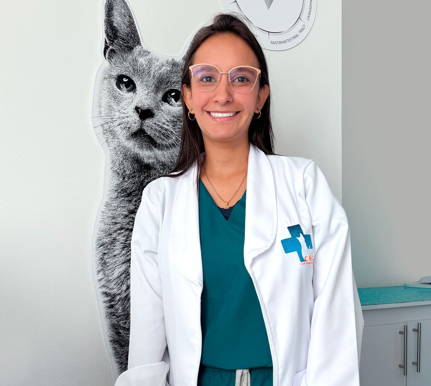 Equipo quirúrgico preparado para atender a un gato