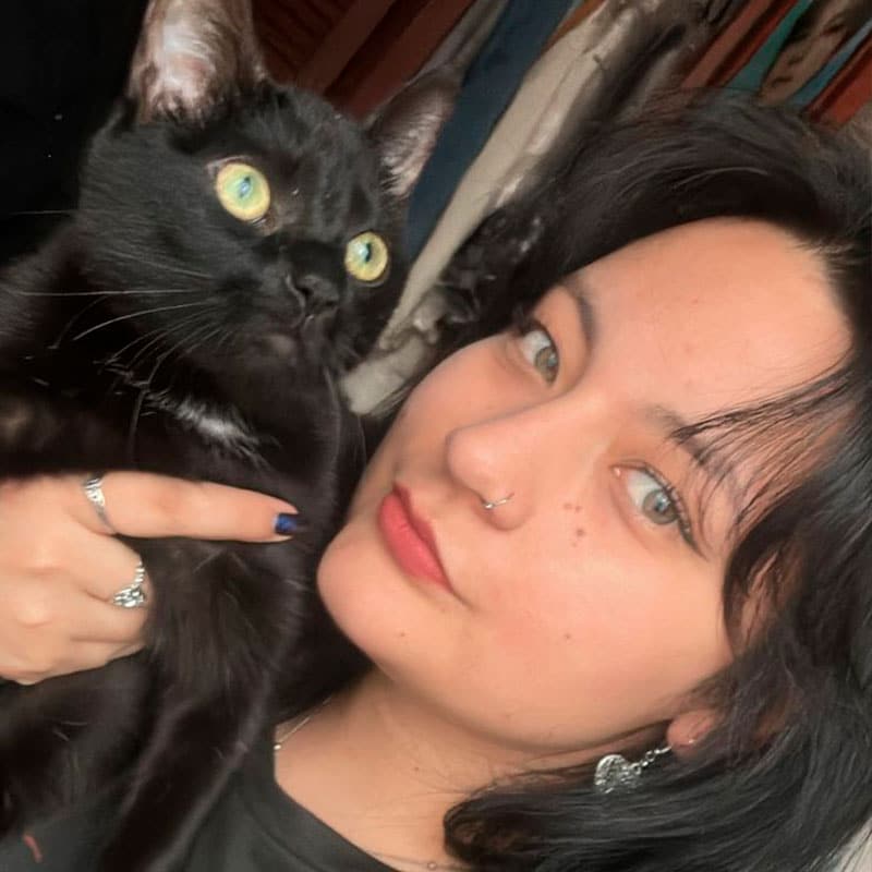 Un veterinario acariciando a un gato rescatado