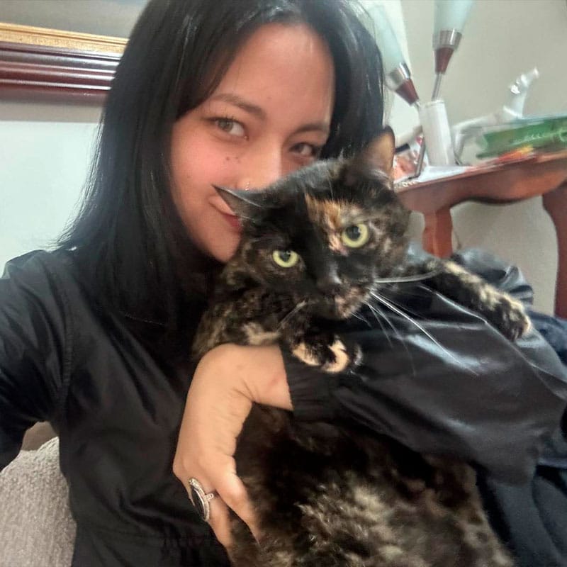 Gatos en riesgo esperando ayuda en la calle