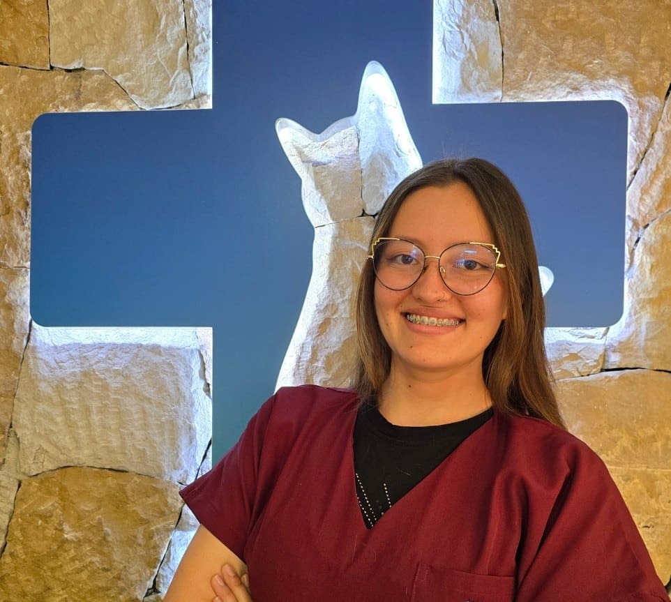 Dra. Camila Lemus - Cat Medical Care