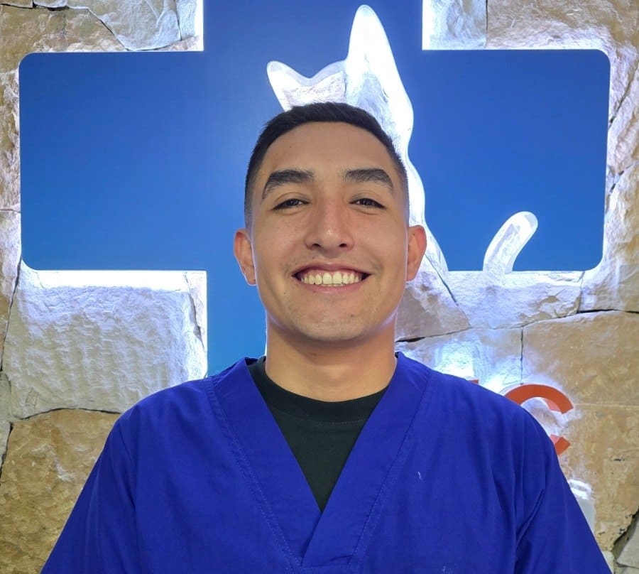 Dr. Sebastián Carrillo - Cat Medical Care